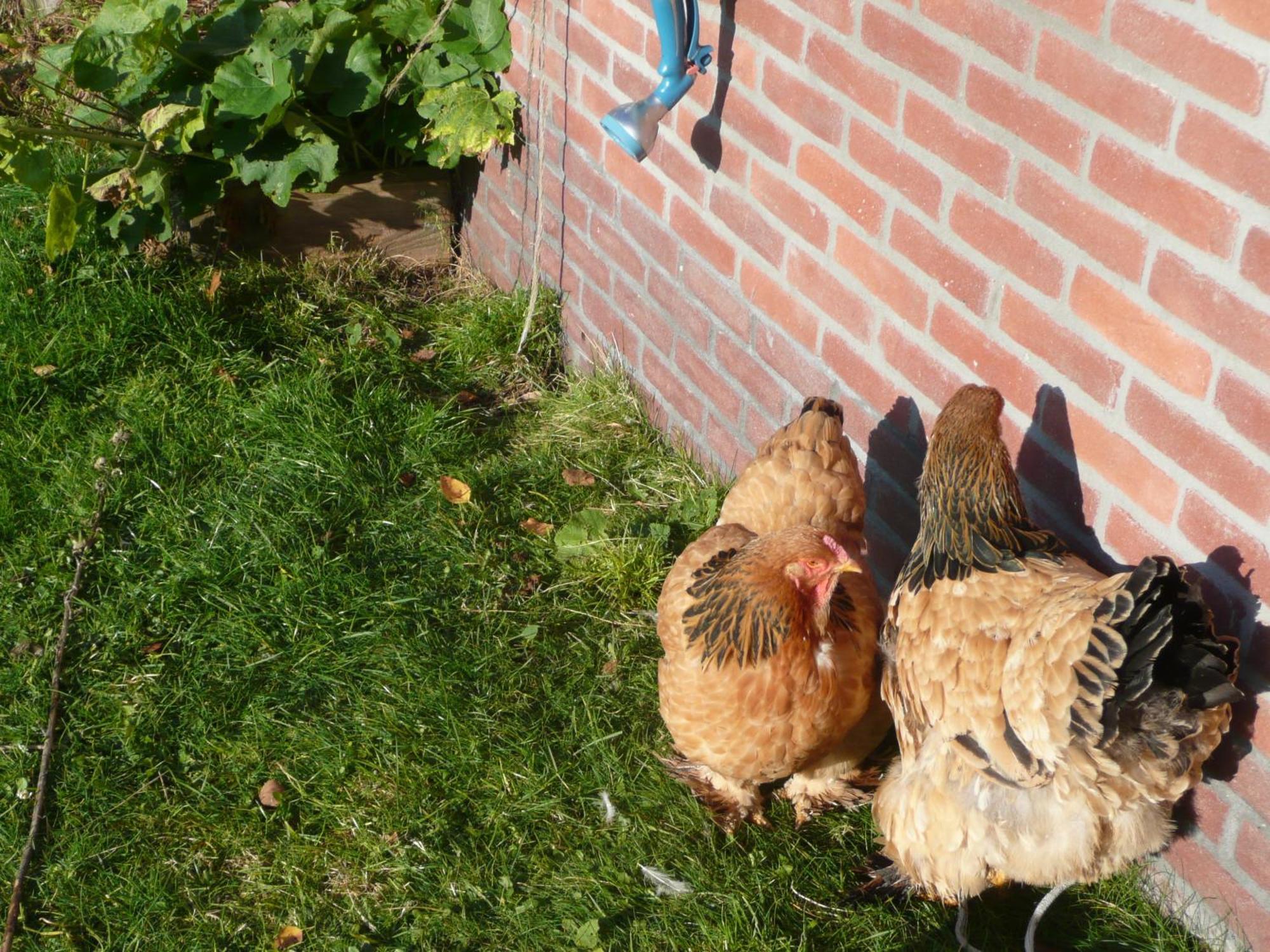 Slaopen En Stoet Bed and Breakfast Anderen Exteriör bild