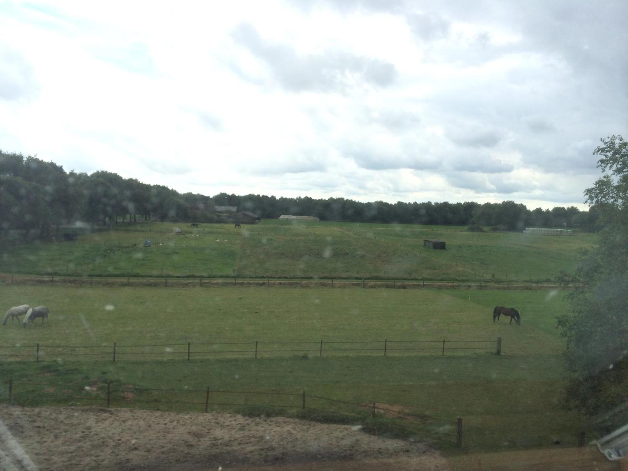 Slaopen En Stoet Bed and Breakfast Anderen Rum bild